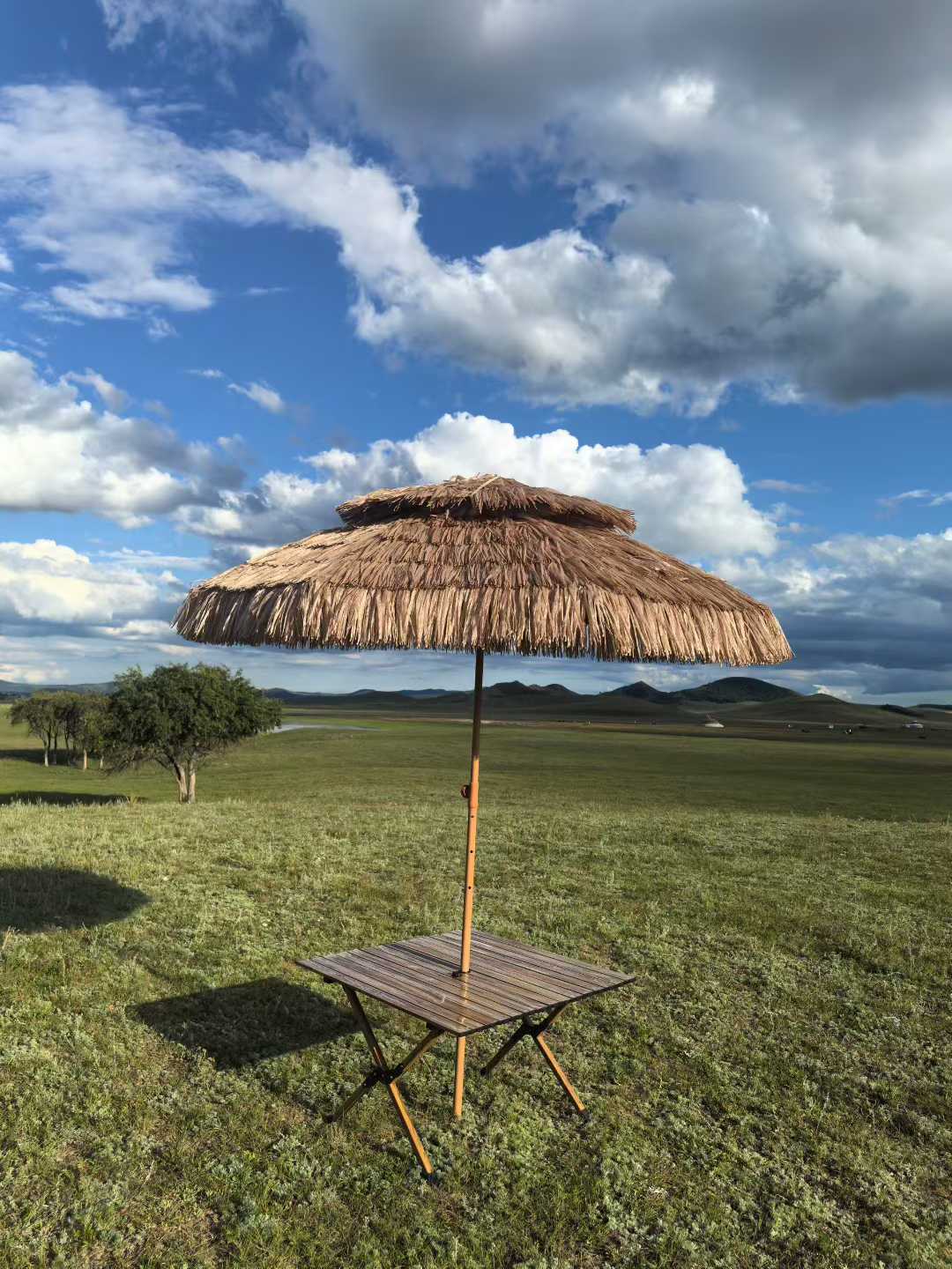 VESTA Develops a Thatch-Style Beach Umbrella for Outdoor Leisure